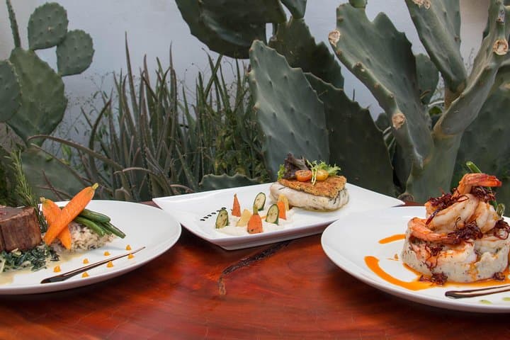 In-Villa Lobster Tail Dinner with Private Chef — Los Cabos Gourmet Experience photo 3