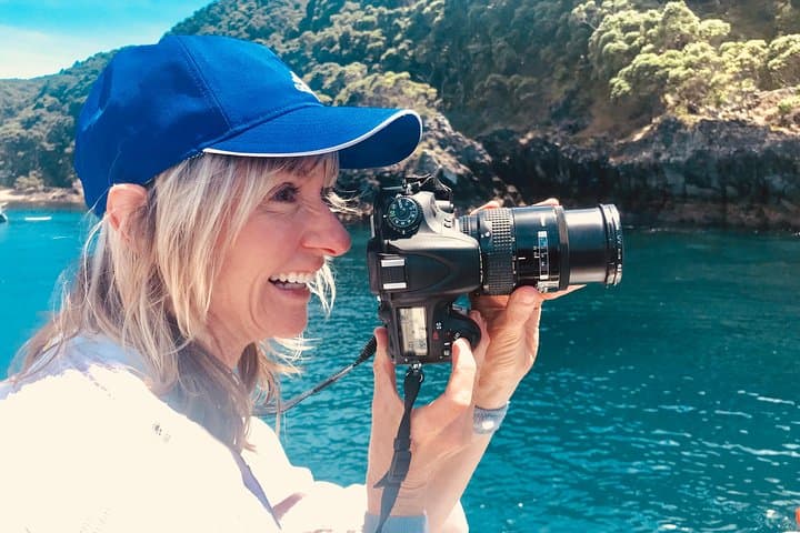 Bay of Plenty Half-Day Dolphin and Wildlife Cruise from Tauranga photo 6