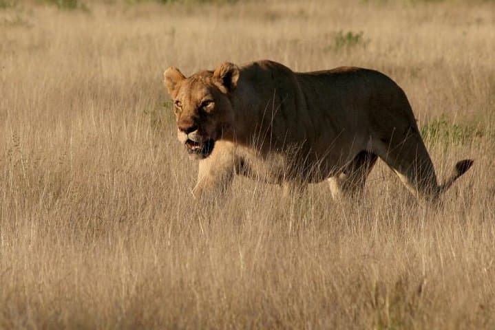 10-Day Namibia Highlights: Sossusvlei, Etosha & Damaraland Guided Tour photo 3