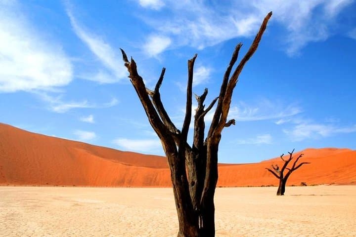 10-Day Namibia Highlights: Sossusvlei, Etosha & Damaraland Guided Tour photo 4