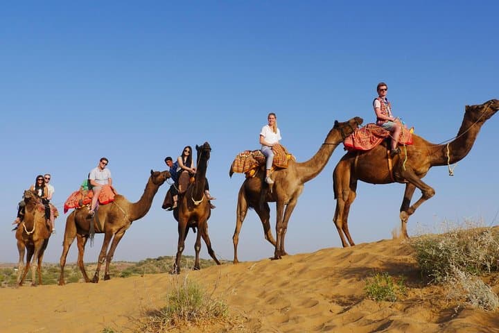 Camel Safari at Sunset Near Jodhpur — Half-Day Thar Desert Experience