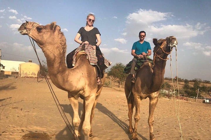 Camel Safari at Sunset Near Jodhpur — Half-Day Thar Desert Experience photo 2