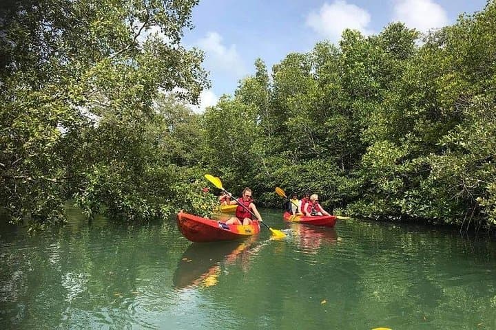 4-Waters Eco-Adventure from Phuket: Khao Phra Thaeo, Sirinat, Ton Pariwat & Natai Beach photo 2