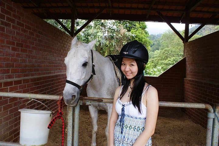 Bukit Tinggi French Village Day Tour from Kuala Lumpur: Colmar Tropicale, Japanese Village & Adventure Park photo 6