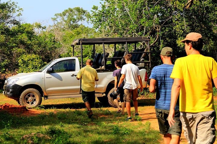 Leopard Safari in Yala National Park: Best Times, What to Expect & Practical Tips photo 5