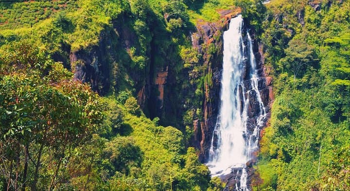 All-in-One Sri Lanka: 8-Day Private Tour from Colombo photo 4