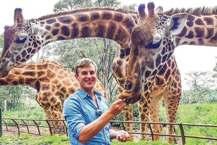 Half-Day Giraffe Center Visit in Nairobi — Feed Rothschild’s Giraffes in Karen photo 4