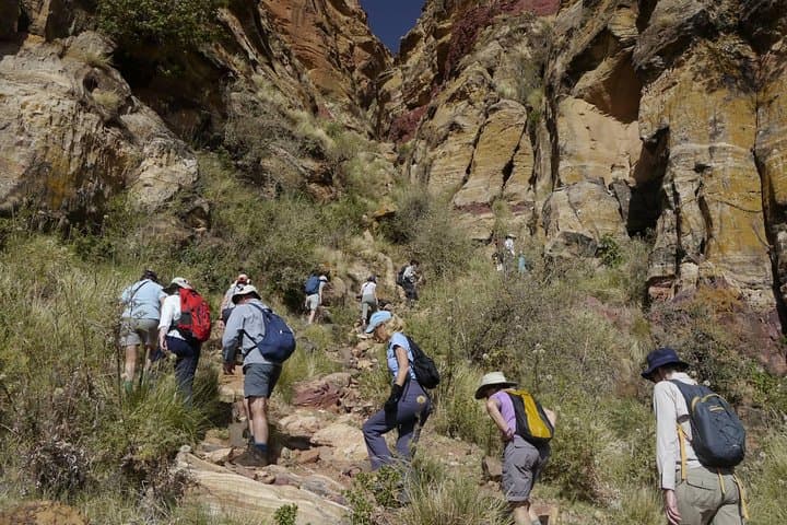 Mt Kenya Day Trip from Nairobi — Naro Moru Hike to Met Station photo 2