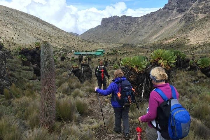 Mt Kenya Day Trip from Nairobi — Naro Moru Hike to Met Station photo 4