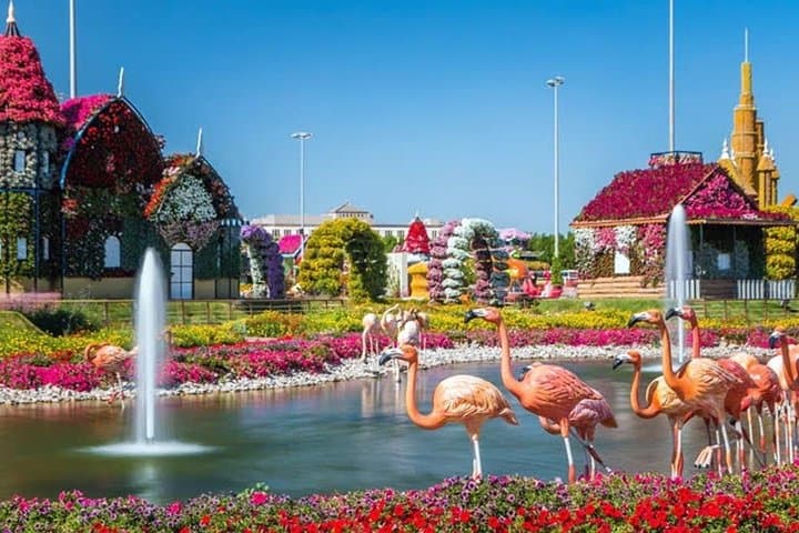 Exploring Dubai Miracle Garden: A Three-Hour Floral Oasis in the Desert photo 5