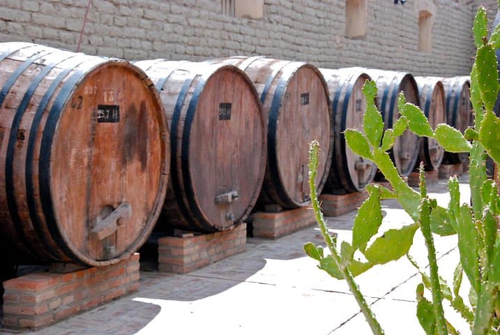 Cafayate Wine Road Adventure: Half-Day Wineries, Tastings & Vine Museum photo 6