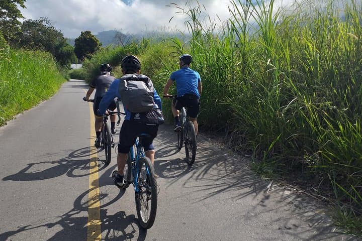Mountain Biking the Coffee Region: Andes Ride from Pereira photo 5