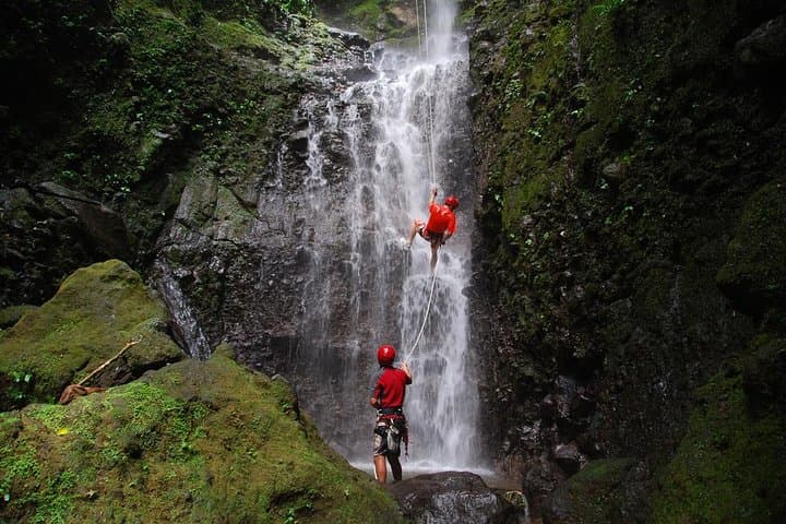Costa Rica Adventure Package: 8-Day Beach & Rainforest Highlights