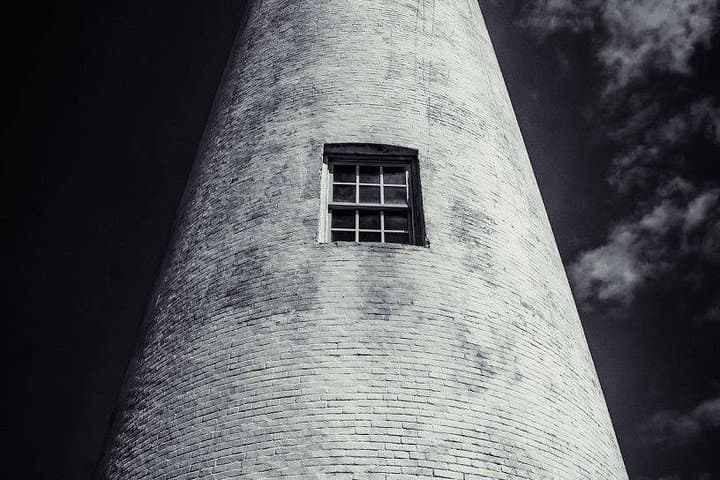 Egmont Key Snorkeling Dolphin Tour — Snorkel Historic Ruins and Grass Flats from Madeira Beach photo 4