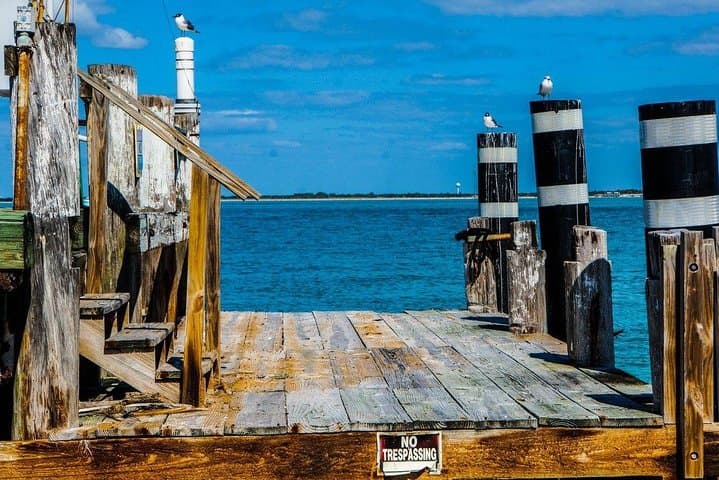 Egmont Key Snorkeling Dolphin Tour — Snorkel Historic Ruins and Grass Flats from Madeira Beach photo 6