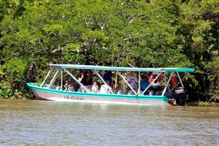 Tamarindo Estuary Boat Safari: Two-Hour Mangrove Wildlife Cruise in Las Baulas photo 3