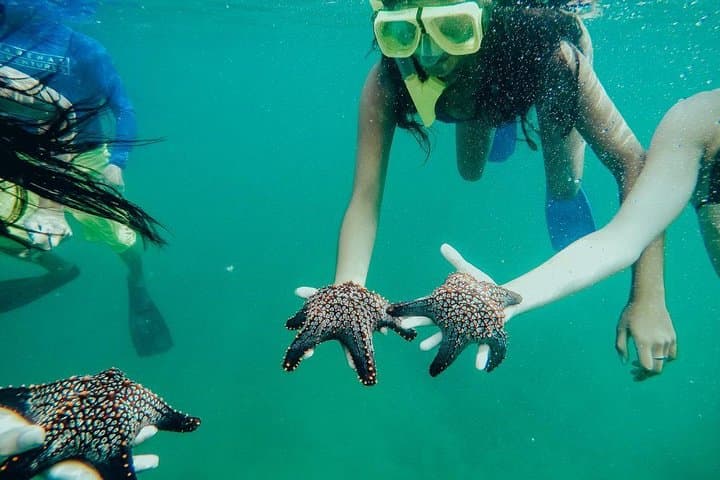 Paddle to Captain Island: Tamarindo Kayak and Snorkel Adventure photo 3