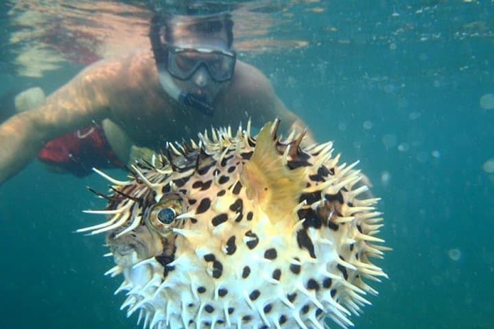 Paddle to Captain Island: Tamarindo Kayak and Snorkel Adventure photo 4
