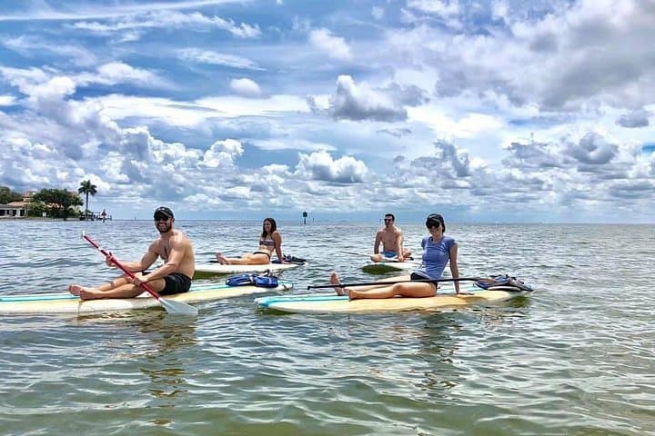 Saint Petersburg Paddle Board Tour: Coffee Pot Bayou SUP Adventure photo 3