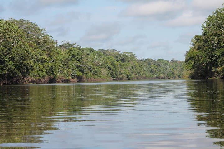 Amazon Paradise: 5-Day Pacaya Samiria Expedition from Iquitos photo 2