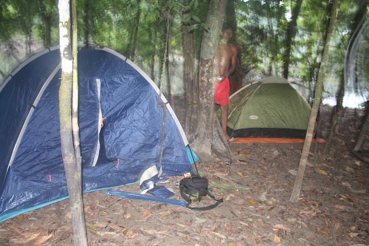 Amazon Paradise: 5-Day Pacaya Samiria Expedition from Iquitos photo 3