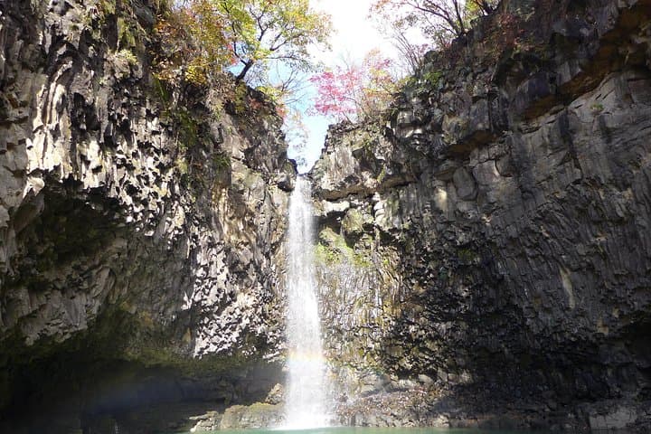 Pocheon Private Day Tour from Seoul: Arboretum, Art Valley & Herb Island photo 4