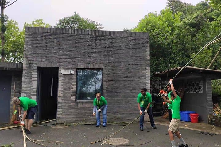 Volunteer with Giant Pandas at Dujiangyan Panda Base — Day Rescue Center Experience photo 5