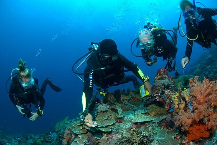 USAT Liberty Shipwreck: Tulamben Bali Scuba Dives for Certified Divers photo 3