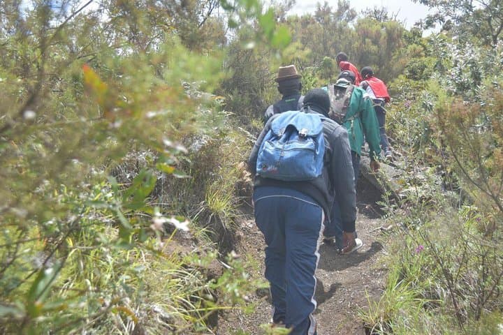 Mount Longonot Day Hike from Nairobi — Crater Rim Trek & Rift Valley Views photo 1