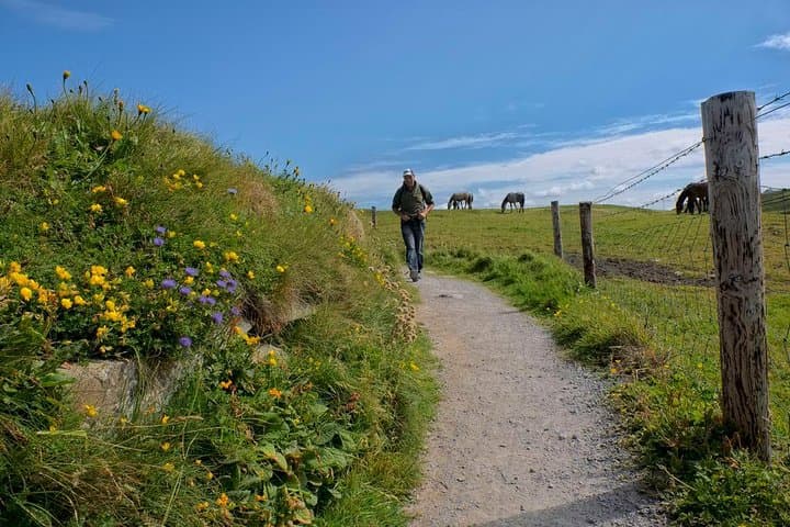 Wild Atlantic Way in 48 Hours: Cliffs of Moher, Dingle & Killarney from Dublin photo 5