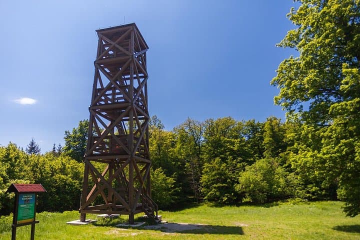 Unique Views of Bratislava: Private Guided Tour to Devín, Kamzík, Slavín & UFO Deck photo 4