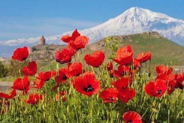 Armenia: 5-Day Cultural and Scenic Adventure from Yerevan