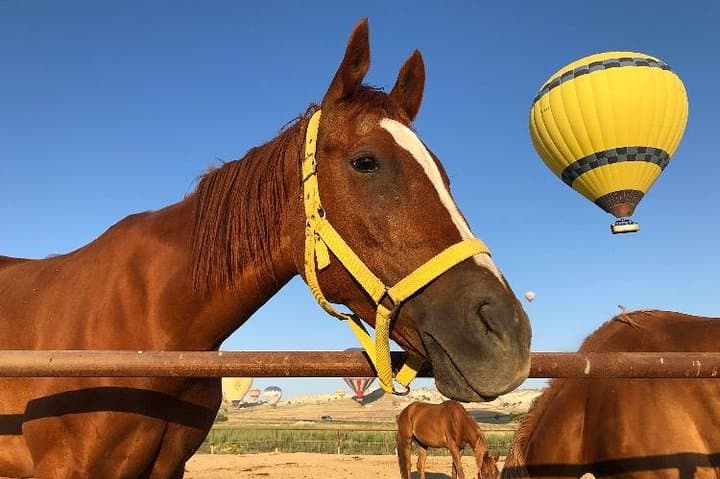 Sunrise Horseback Ride Among Cappadocia's Fairy Chimneys photo 5