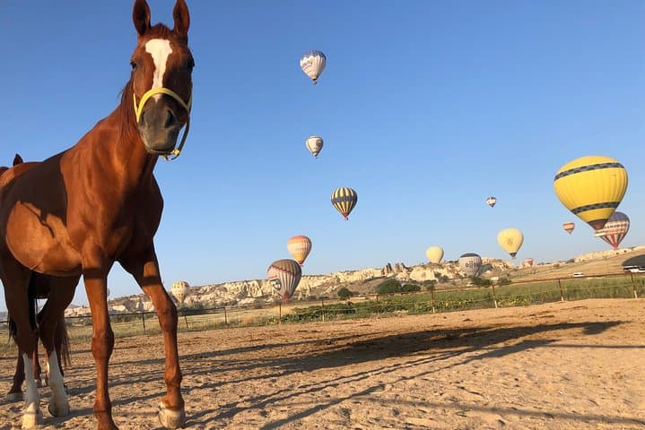 Sunrise Horseback Ride Among Cappadocia's Fairy Chimneys photo 6