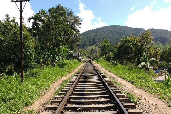 Ella Rock Sunrise Hike: Summit Views & Tea-Plantation Trails Near Ella photo 5