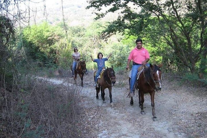 Beach and Jungle Horseback Riding in Manzanillo — 2-Hour Coastal Trail Ride