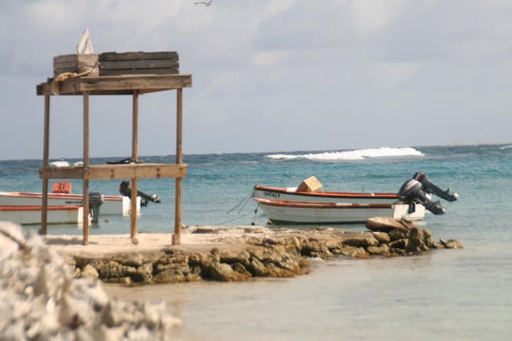 Lac Bay Flamingos and Mangroves: Guided Wildlife & Cultural Tour in Bonaire photo 2
