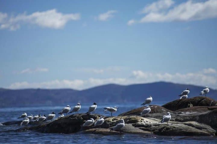 Two Days on Titicaca: Sun Island, Inca Ruins & Sacred Copacabana photo 5
