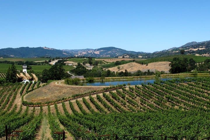 Private Napa & Sonoma Wine Tour from San Francisco — 8-Hour Custom Concierge in XL SUV photo 3