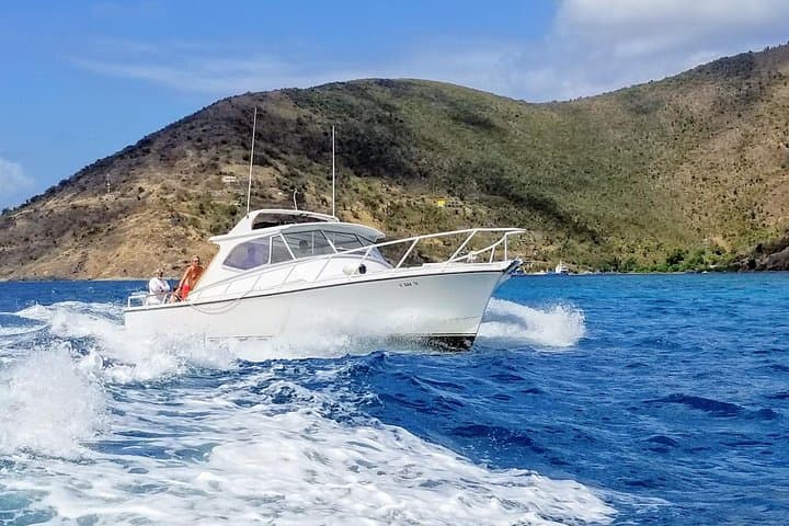 Circle St. John by Boat: Snorkel Shipwrecks, Tacos at Lime Out & Swim with Turtles photo 3