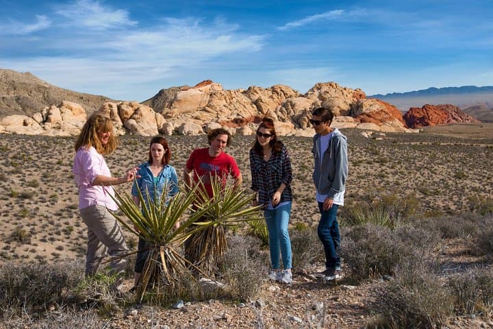 Red Rock Canyon Rocky Gap 4x4 Jeep Tour from Las Vegas photo 3