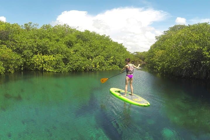 Paddleboard Cenote Tour in Tulum — SUP Through Mangroves & Crystal Caverns photo 5
