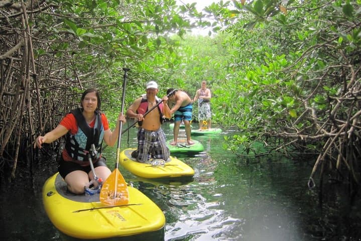 Paddleboard Combo Tour: Cenote and Reef Adventure from Tulum photo 5