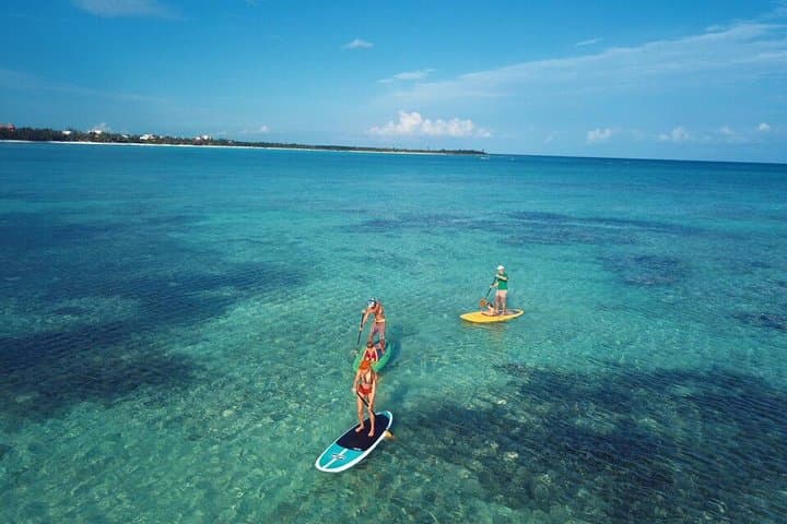 Soliman Bay Paddleboard Tour: SUP to Reefs and Coastal Wildlife Near Tulum photo 2
