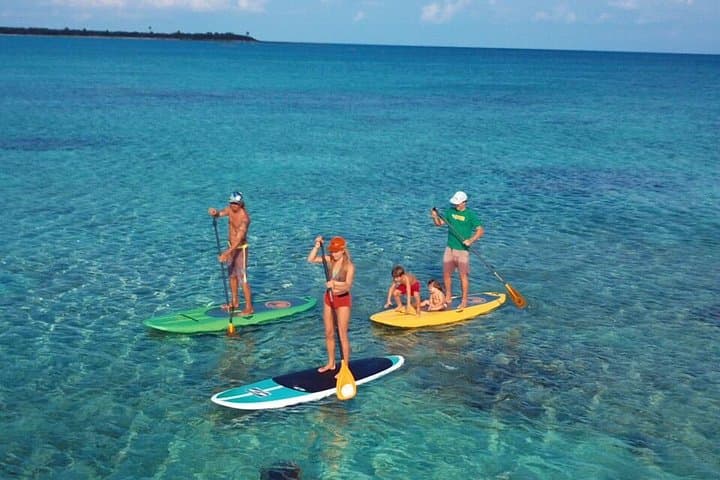 Soliman Bay Paddleboard Tour: SUP to Reefs and Coastal Wildlife Near Tulum photo 3