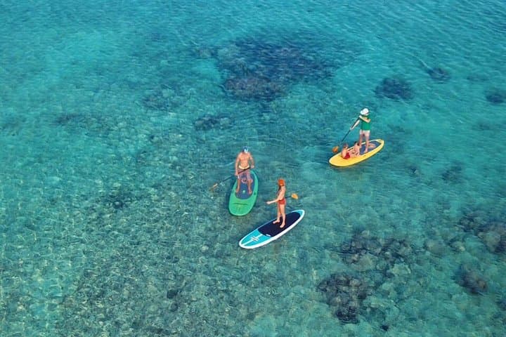 Soliman Bay Paddleboard Tour: SUP to Reefs and Coastal Wildlife Near Tulum photo 4