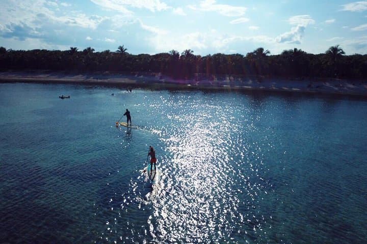 Soliman Bay Paddleboard Tour: SUP to Reefs and Coastal Wildlife Near Tulum photo 5