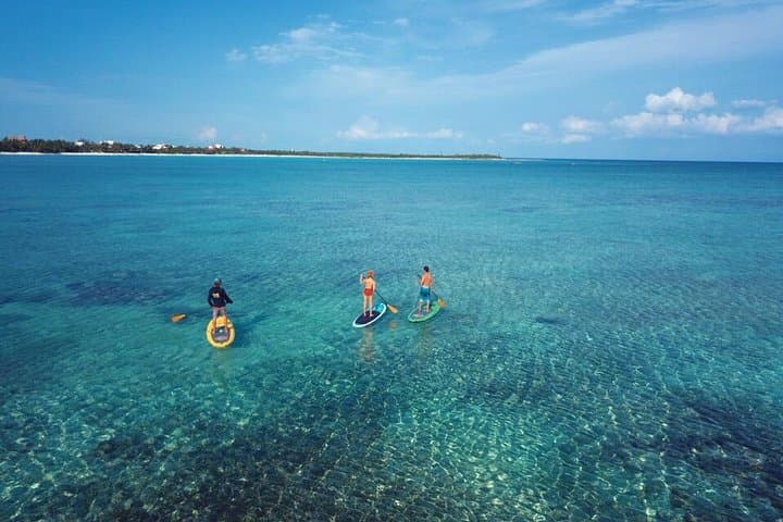 Soliman Bay Paddleboard Tour: SUP to Reefs and Coastal Wildlife Near Tulum photo 6