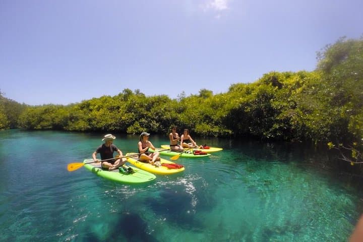 Paddleboard Combo Tour: Cenote and Reef Adventure from Tulum photo 4