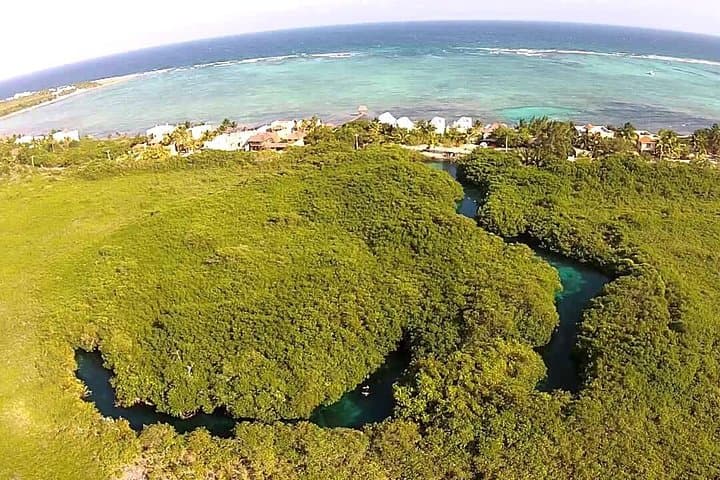 Paddleboard Combo Tour: Cenote and Reef Adventure from Tulum